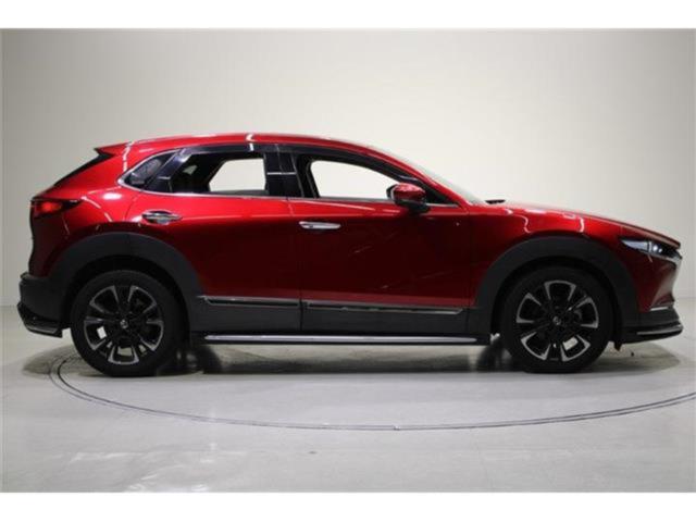 ＣＸ－３０（新潟県新潟市東区）画像14