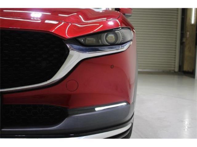 ＣＸ－３０（新潟県新潟市東区）画像15