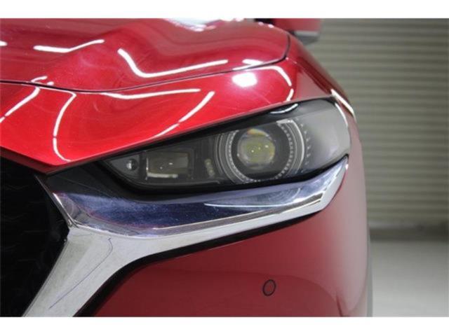 ＣＸ－３０（新潟県新潟市東区）画像17