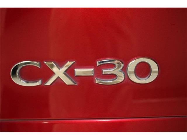 ＣＸ－３０（新潟県新潟市東区）画像33