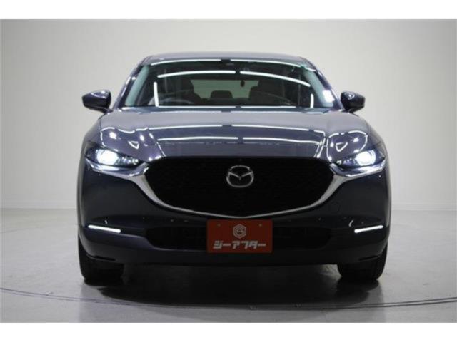 ＣＸ－３０（新潟県新潟市東区）画像3