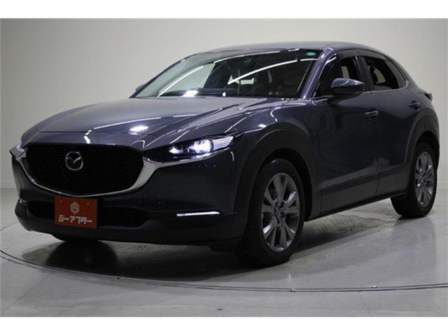 ＣＸ－３０（新潟県新潟市東区）画像4