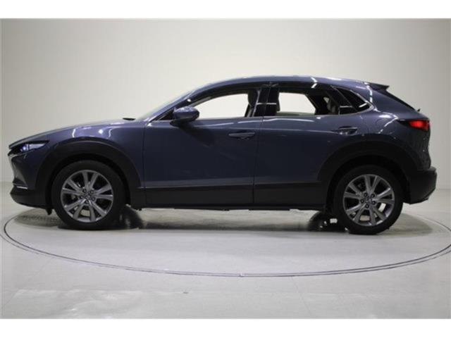 ＣＸ－３０（新潟県新潟市東区）画像5