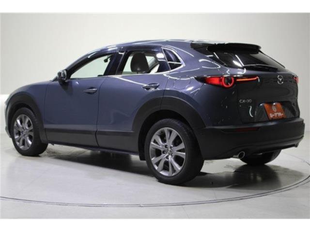 ＣＸ－３０（新潟県新潟市東区）画像6
