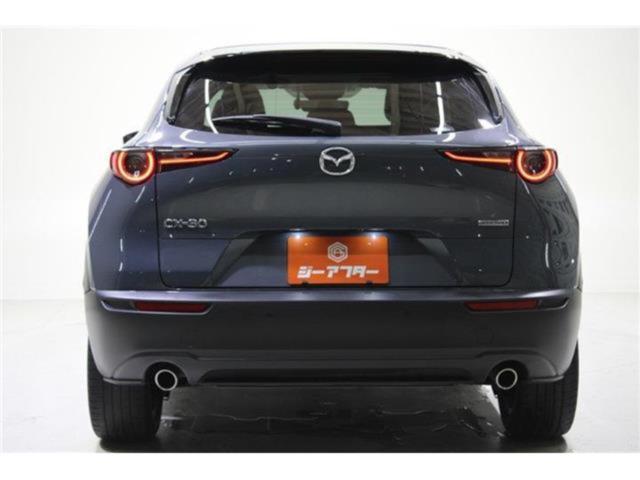 ＣＸ－３０（新潟県新潟市東区）画像7