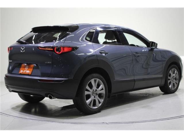 ＣＸ－３０（新潟県新潟市東区）画像8