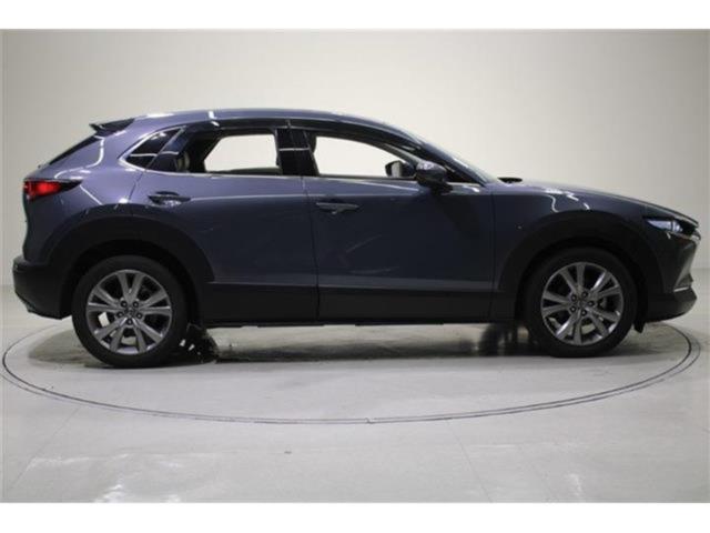 ＣＸ－３０（新潟県新潟市東区）画像9