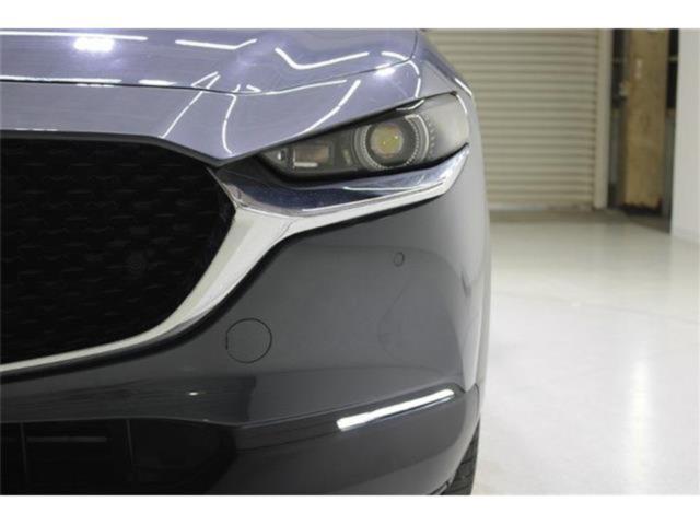 ＣＸ－３０（新潟県新潟市東区）画像10