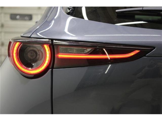 ＣＸ－３０（新潟県新潟市東区）画像17