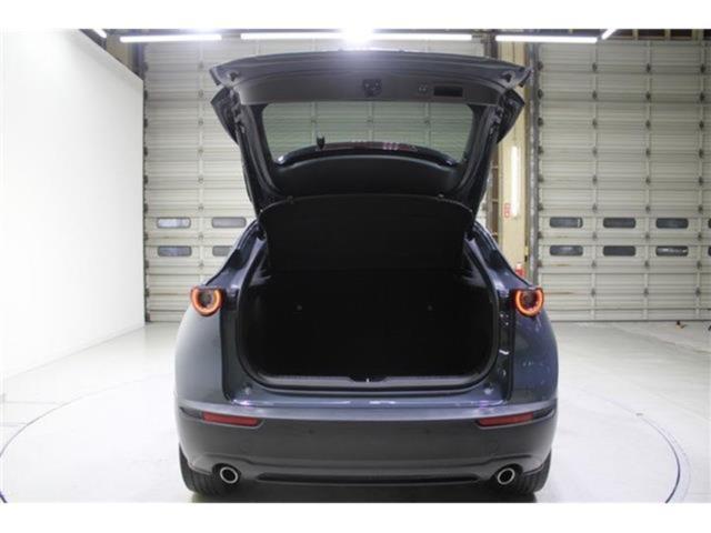 ＣＸ－３０（新潟県新潟市東区）画像31