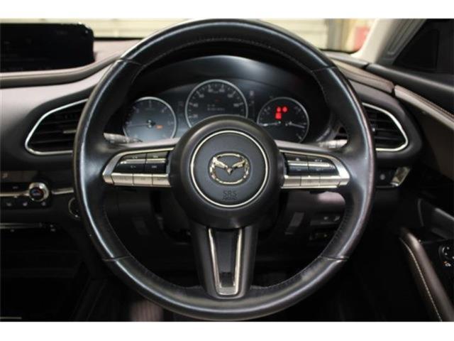 ＣＸ－３０（新潟県新潟市東区）画像45