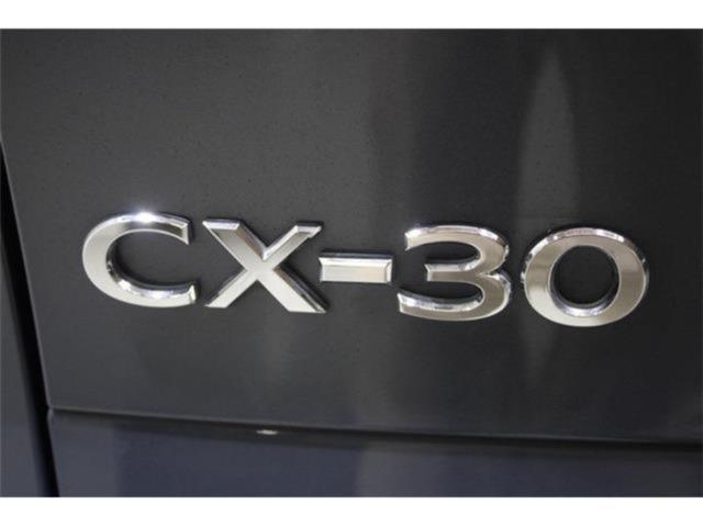 ＣＸ－３０（新潟県新潟市東区）画像70