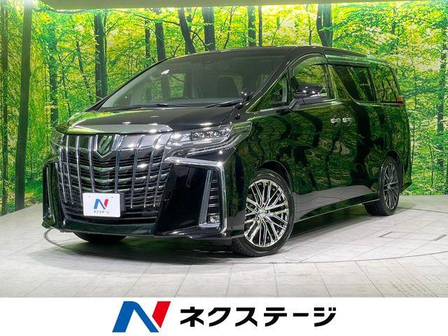アルファード（新潟県長岡市）