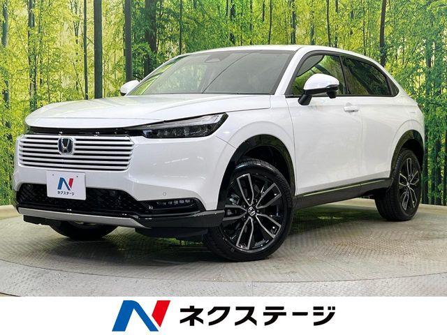 ヴェゼル（新潟県新潟市南区）