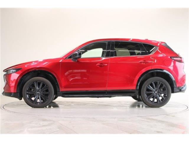 CX-5（新潟県新潟市東区）
