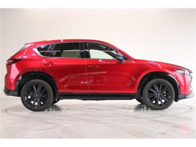 CX-5（新潟県新潟市東区）