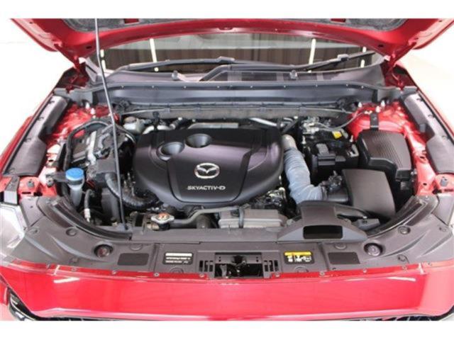 CX-5（新潟県新潟市東区）