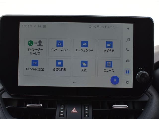 ＲＡＶ４（新潟県上越市）画像22