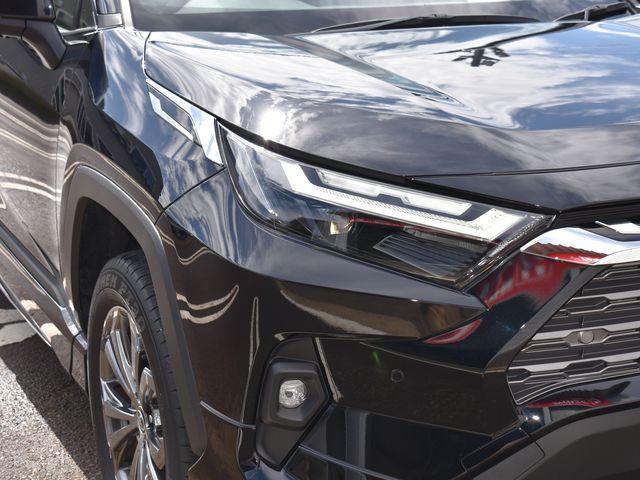 ＲＡＶ４（新潟県上越市）画像48