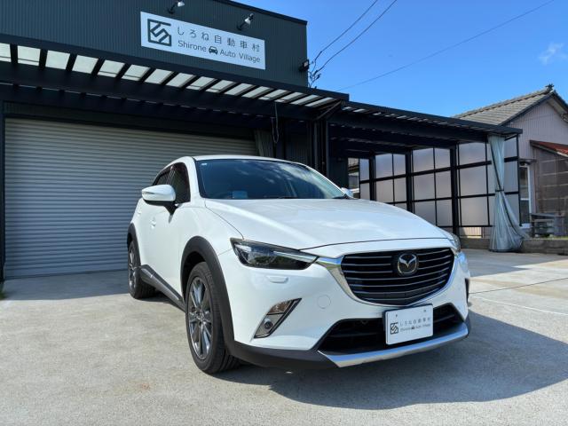 CX-3（新潟県新潟市西区）