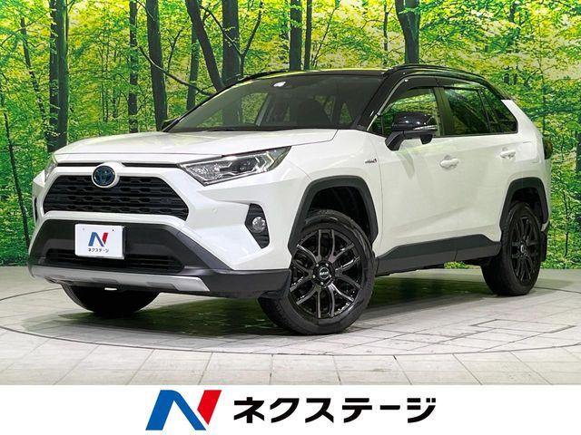 ＲＡＶ４（新潟県長岡市）