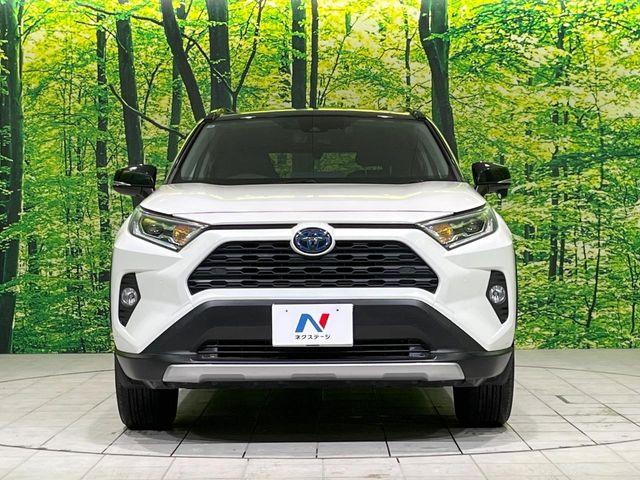 ＲＡＶ４（新潟県長岡市）画像14