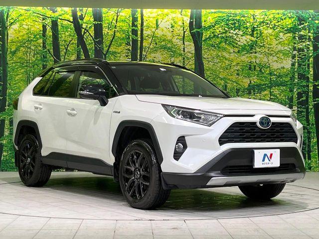 ＲＡＶ４（新潟県長岡市）画像16