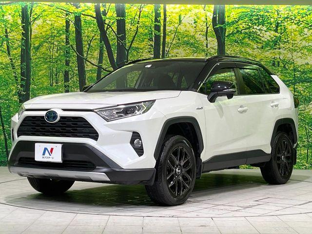ＲＡＶ４（新潟県長岡市）画像28