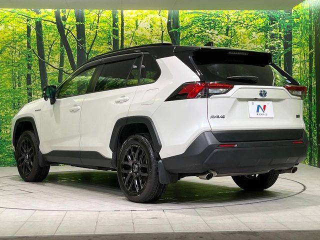 ＲＡＶ４（新潟県長岡市）画像30