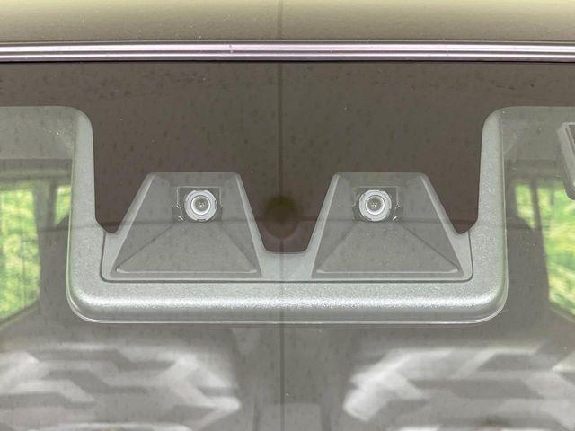 タフト（新潟県長岡市）