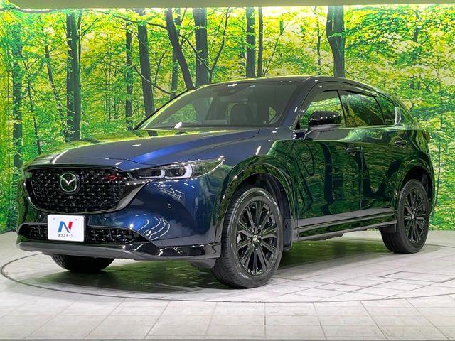 CX-5（新潟県長岡市）画像25