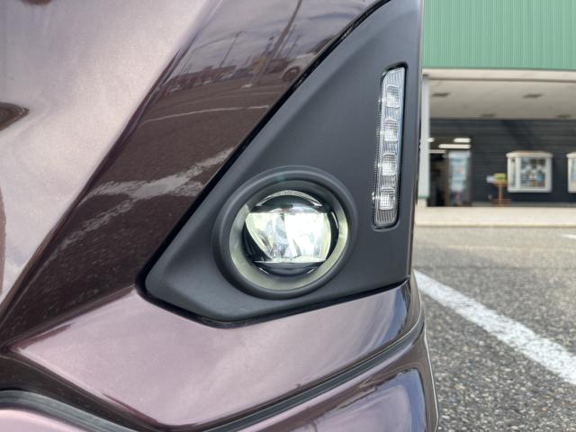 トール（新潟県新潟市西蒲区）画像24