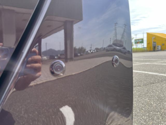 トール（新潟県新潟市西蒲区）画像31