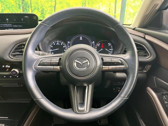 ＣＸ－３０（新潟県新潟市東区）画像8