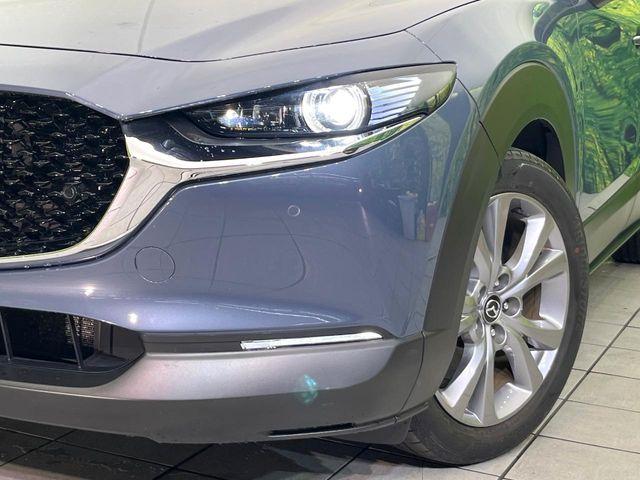 ＣＸ－３０（新潟県新潟市東区）画像12