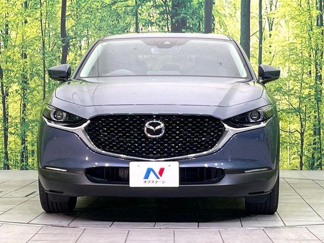 ＣＸ－３０（新潟県新潟市東区）画像14