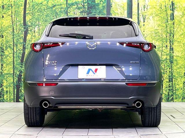 ＣＸ－３０（新潟県新潟市東区）画像15
