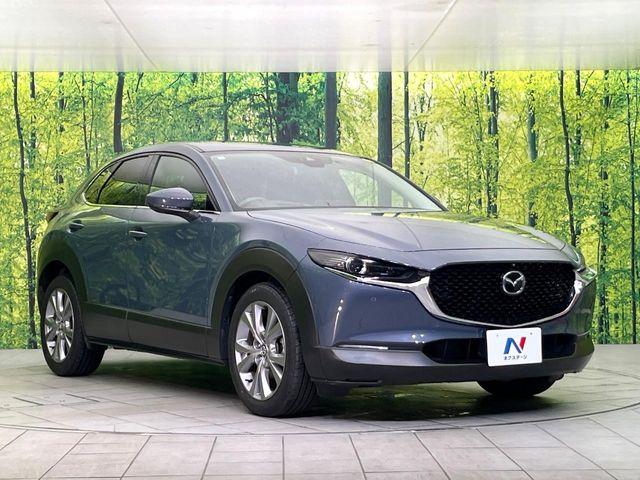 ＣＸ－３０（新潟県新潟市東区）画像16