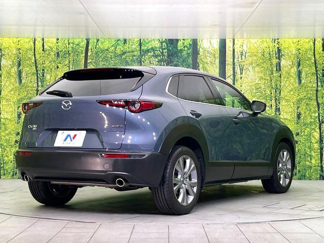 ＣＸ－３０（新潟県新潟市東区）画像17