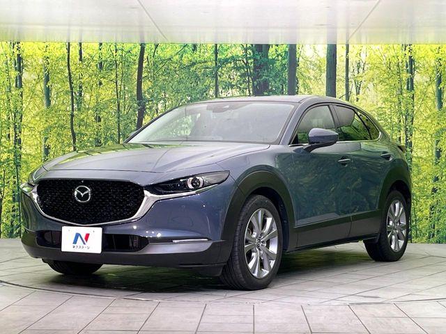 ＣＸ－３０（新潟県新潟市東区）画像52