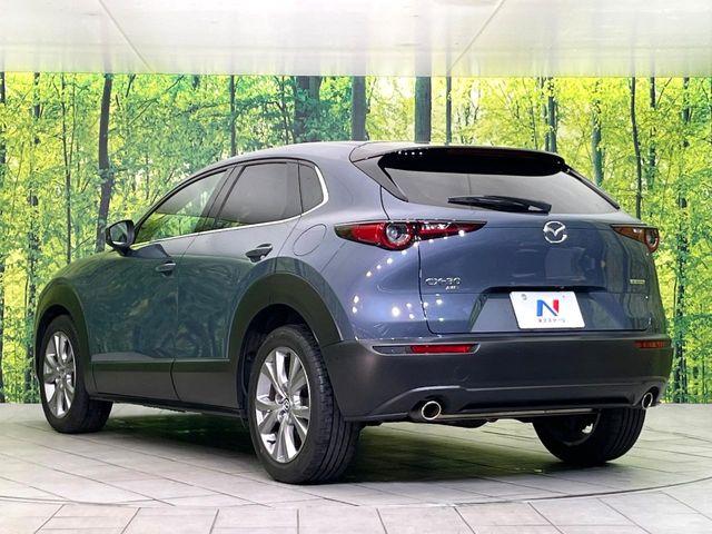 ＣＸ－３０（新潟県新潟市東区）画像53