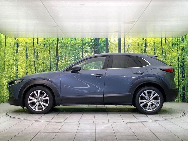 ＣＸ－３０（新潟県新潟市東区）画像54