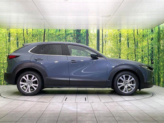 ＣＸ－３０（新潟県新潟市東区）画像55