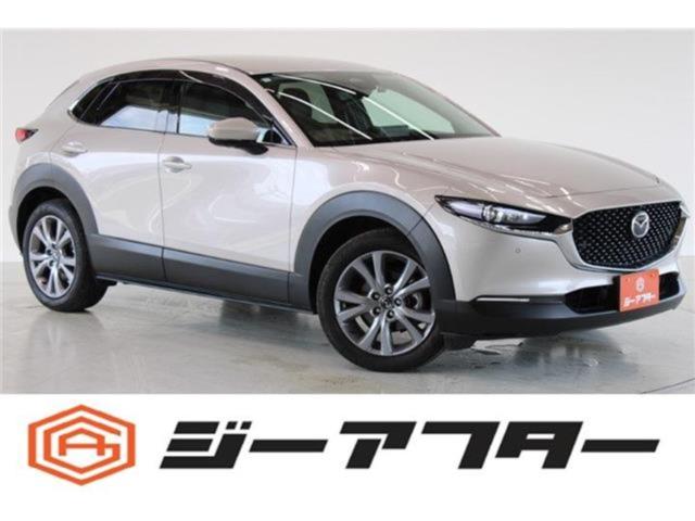ＣＸ－３０（新潟県新潟市東区）