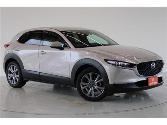 ＣＸ－３０（新潟県新潟市東区）