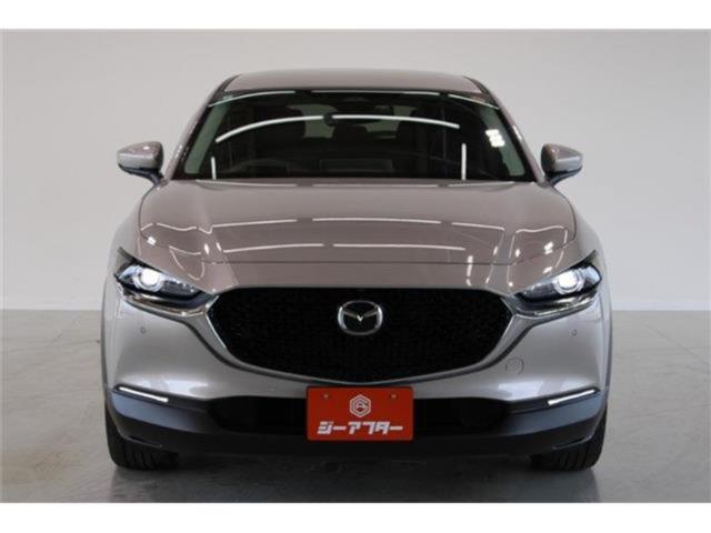 ＣＸ－３０（新潟県新潟市東区）