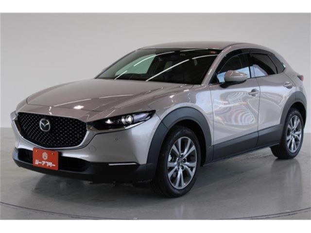 ＣＸ－３０（新潟県新潟市東区）