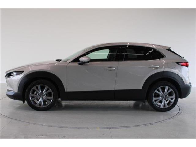 ＣＸ－３０（新潟県新潟市東区）