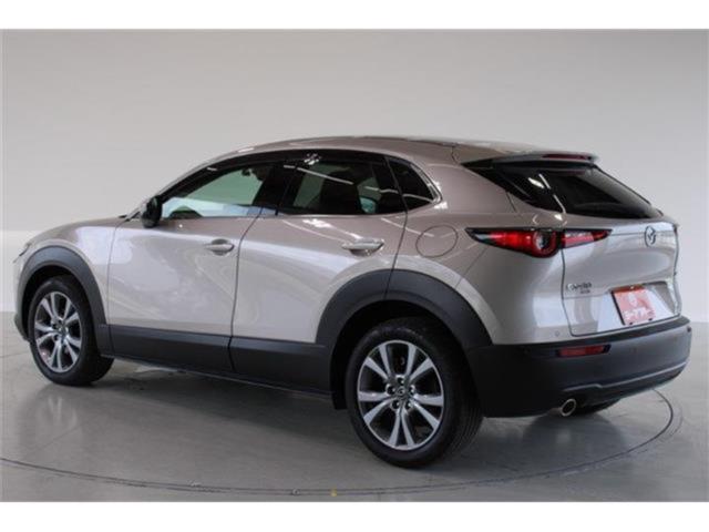 ＣＸ－３０（新潟県新潟市東区）