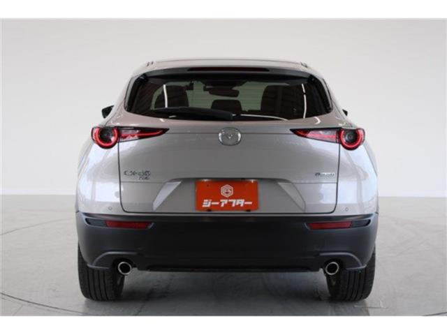 ＣＸ－３０（新潟県新潟市東区）